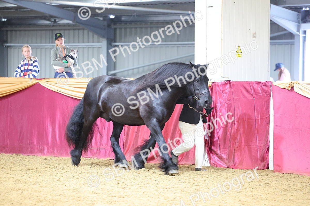 SBM_22822 - Class 903 - Supreme Final - IH Pre Vet