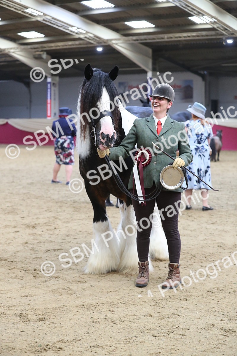 SBM_06454 - Class 9R Regional- IH Pre Vet