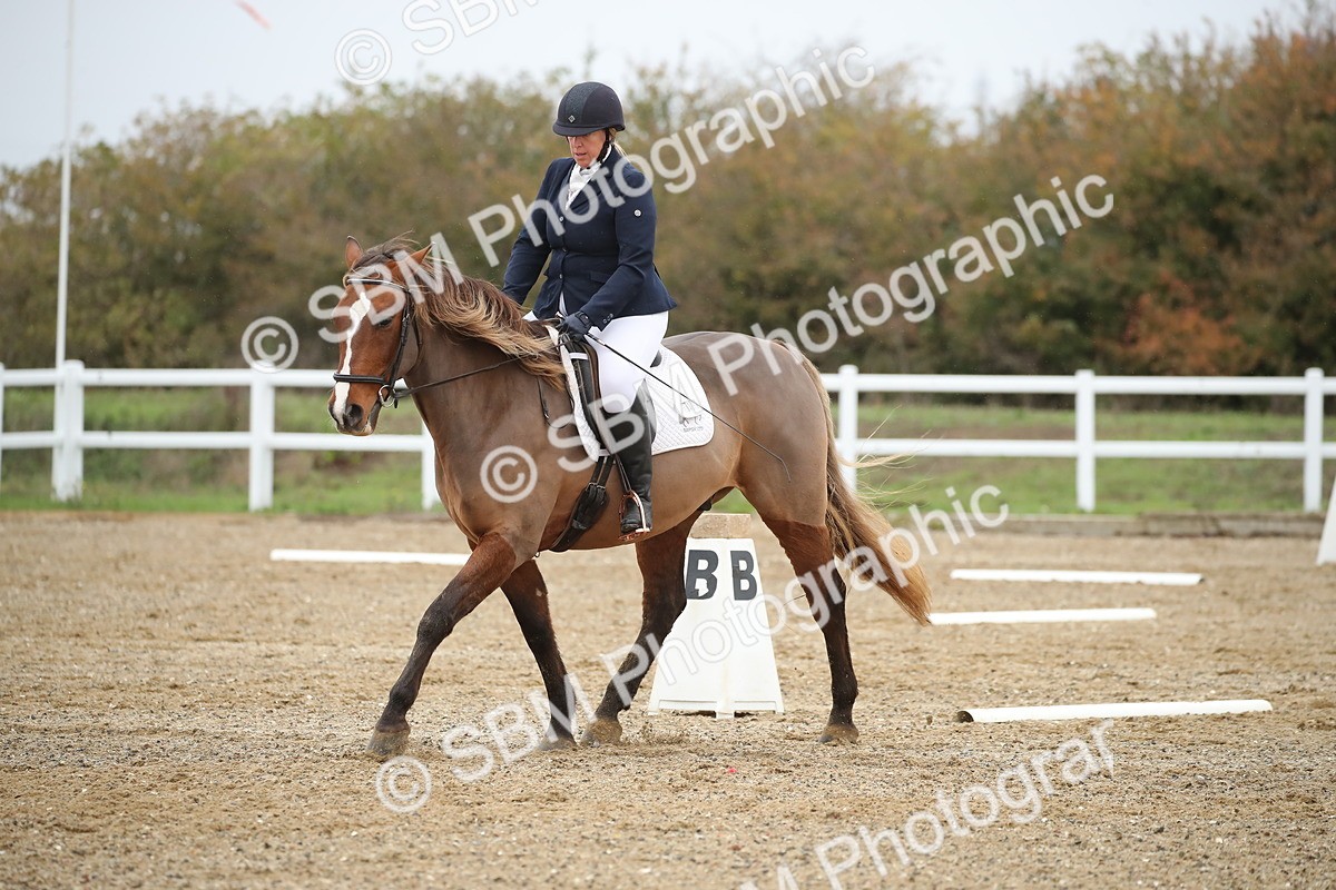 SBM_000491 - Intro 2