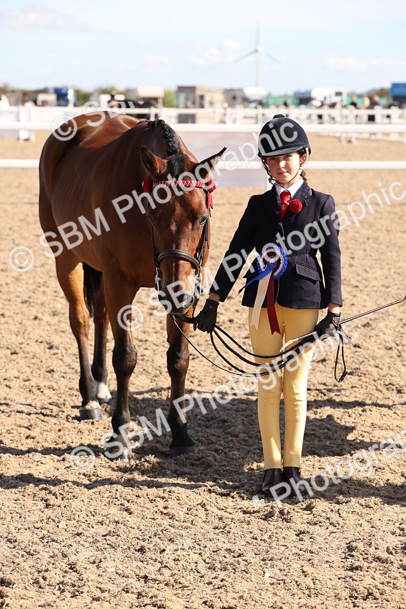 SBM_12852 - Class 205 - IH Show Pony - Show Hunter Pony