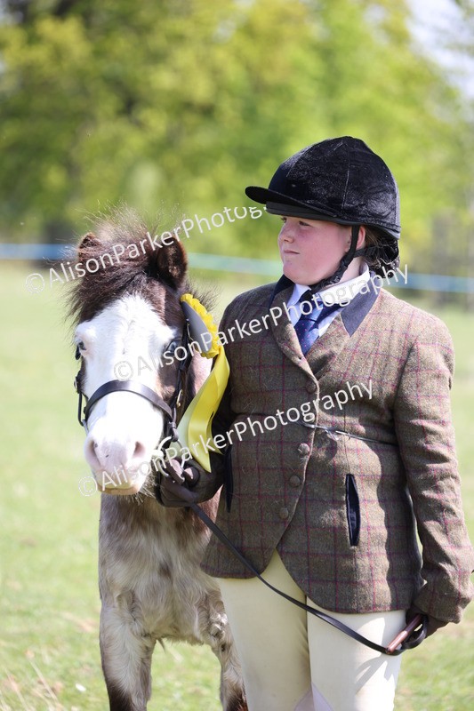 20250427-3023 - Class 27 - Coloured Horse and Pony