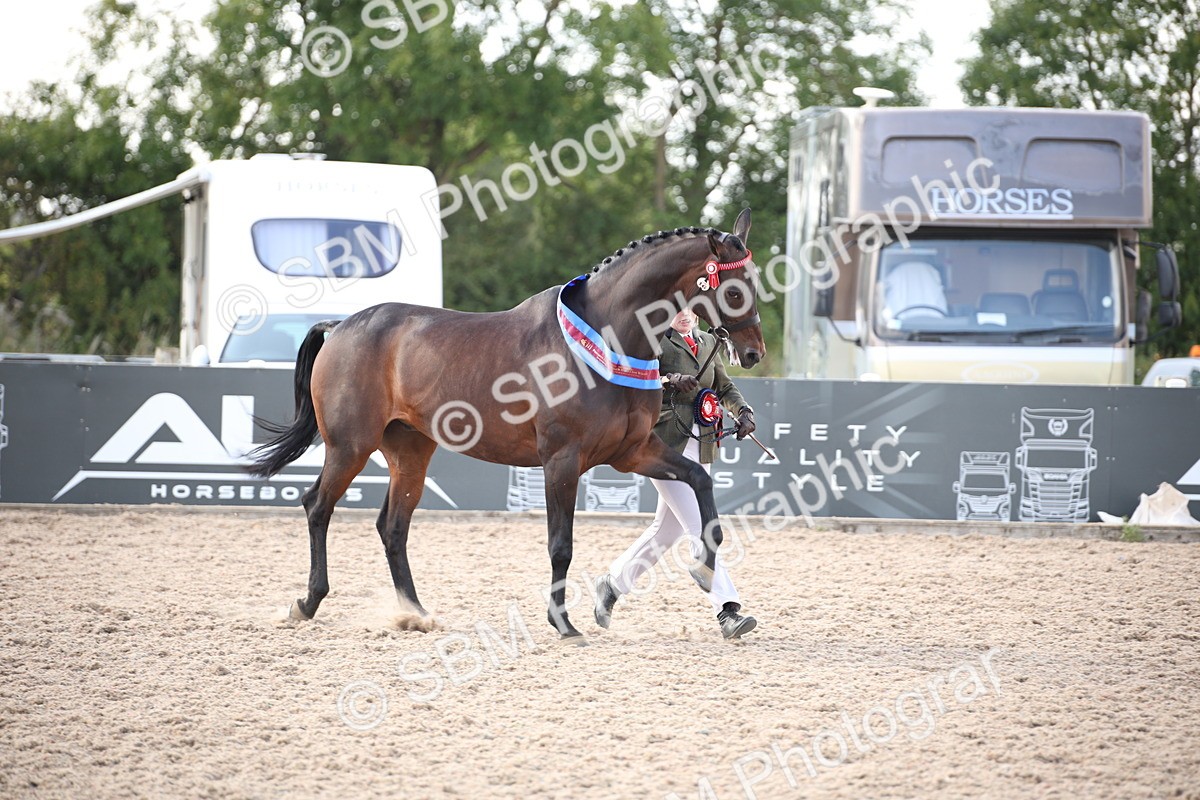 SBM_07146 - Class 25 IH Foreign Breeds- Pure bred