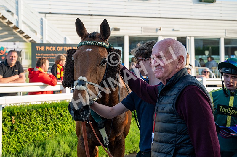 310524-Race 3-Lord Torranaga-2190 - Race 3