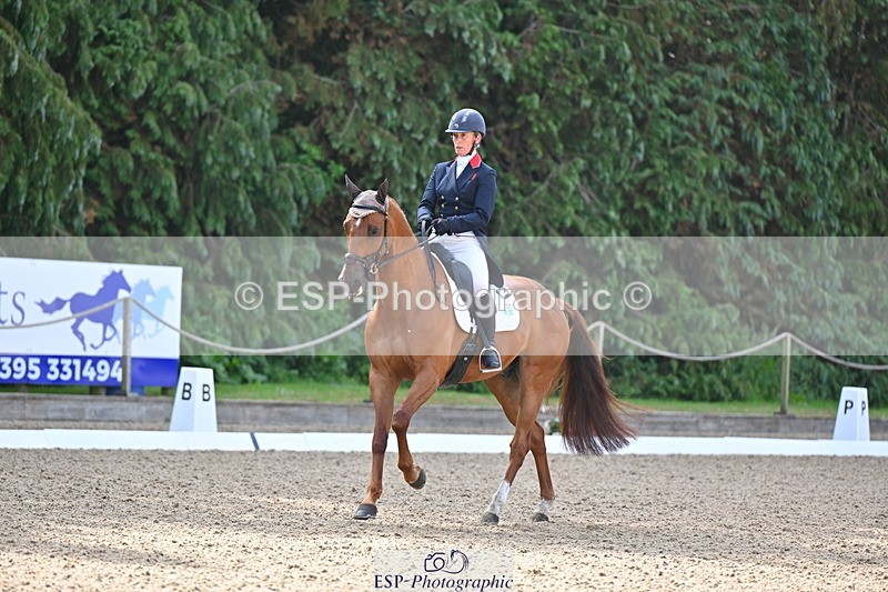 250523A-091431-05474 - D-453-Daisy.Berkeley-DIESE.DU.FIGUIER