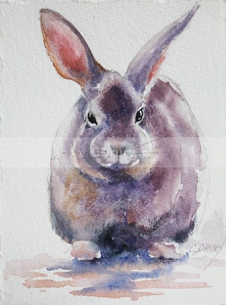WCR02191 'Bunny' - Watercolor Wildlife