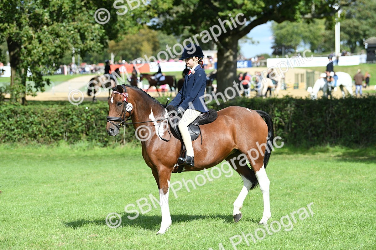 SBM_47138 - S12 - Family Horse & Pony