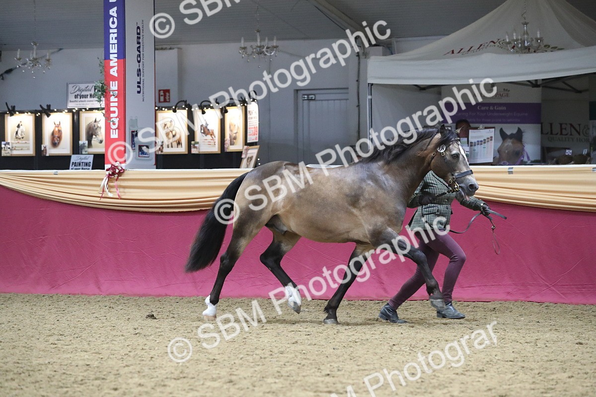 SBM_17173 - M&M Supreme Final Champ