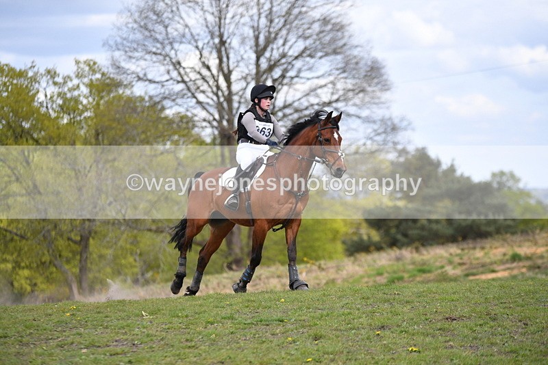 WJ5_2726 - Time 13:16 to 13:52