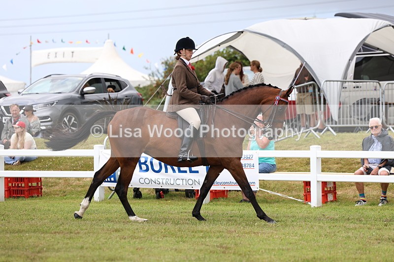 3E7A0917 - Class 8: Open Riding Horse/Hack