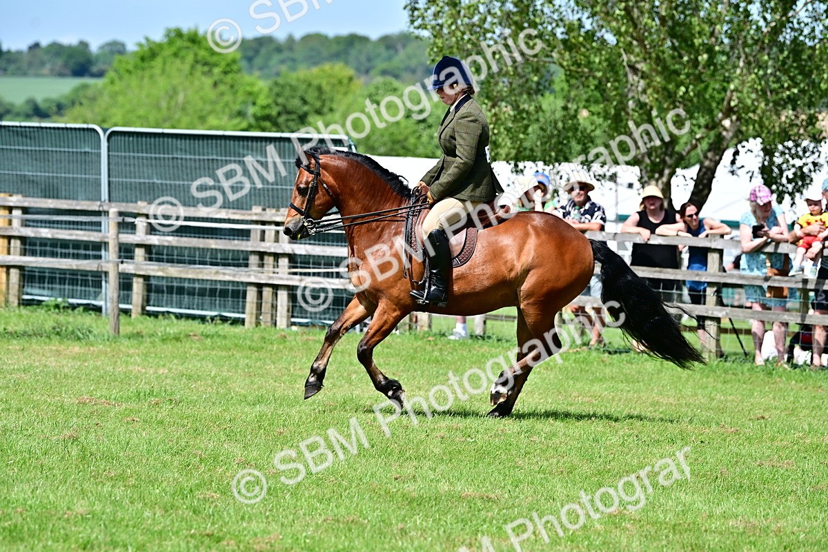 SBM_07918 - Class 61-62 - TSR  M&M Ridden Amateur of the Year