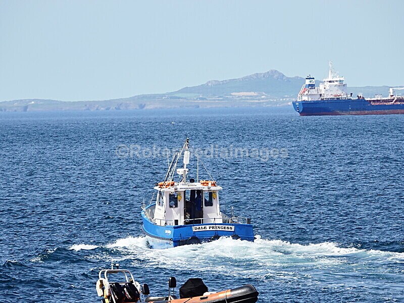 DSC00434 - Skomer 2019