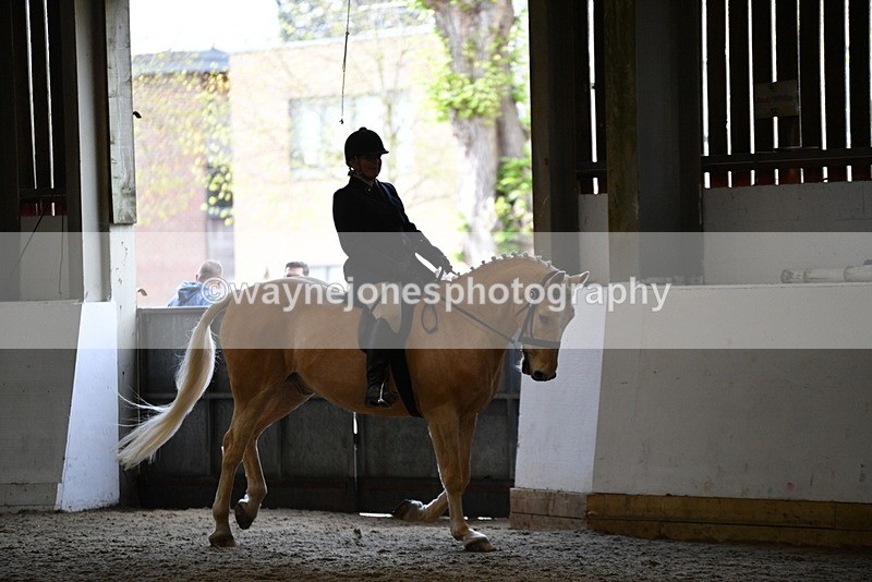 WJ5_6124 - Class 9 Ridden Veteran