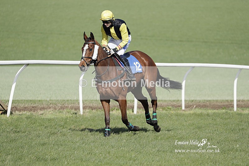 PtP 100423 736 - Old Berkshire Point-to-Point Lockinge 10/04/23