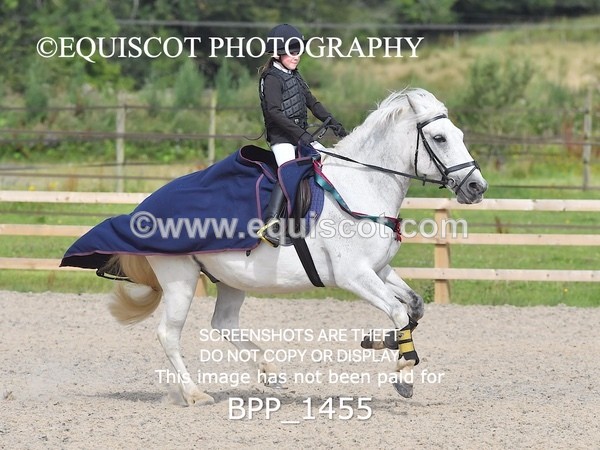 BPP_1455 - DERBY CLASS 2 - 30CM