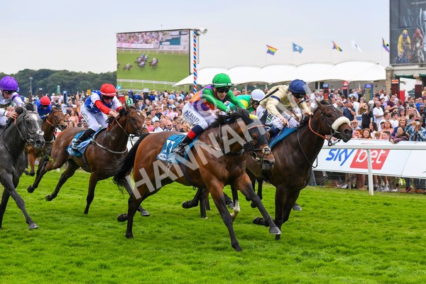 170623-Race 4-Quinault-0634 - Race 4 3.40pm Oakmere Homes Supporting Macmillan Sprint Handicap