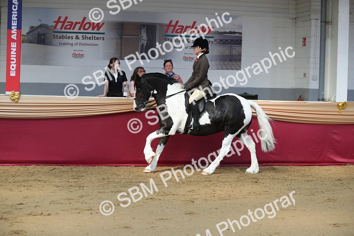 SBM_02896 - Class 6a Area Ridden Pre Vet