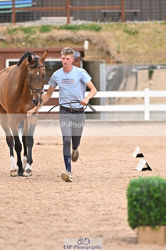 250716-155149-02241 - Trot Up 3.30 to 4.30