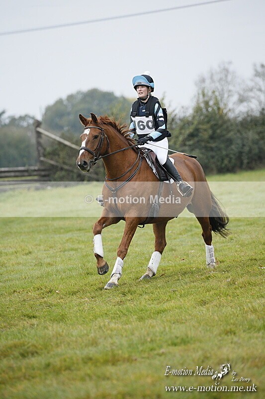 WWHT 181020 WWHT 181020 411 - WWEC Open Novice (0.80m) 18/10/20