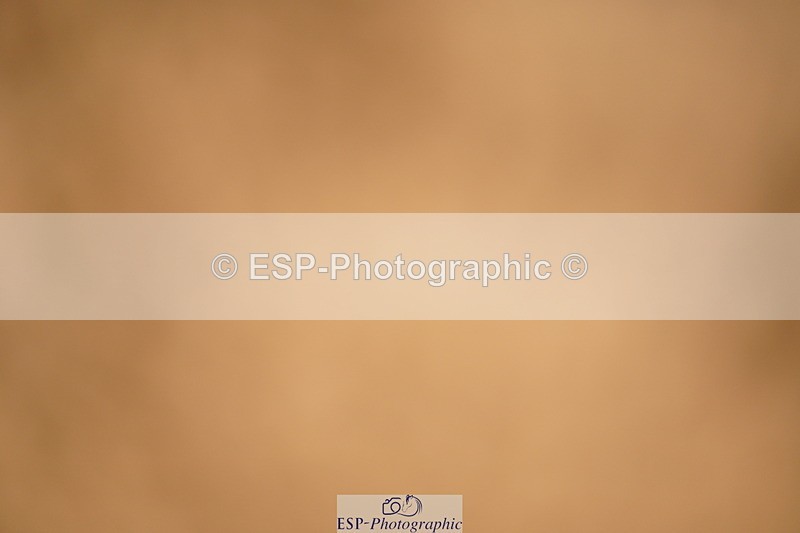 240317A-133718-06803 - Cls 27 Chard Grand Prix