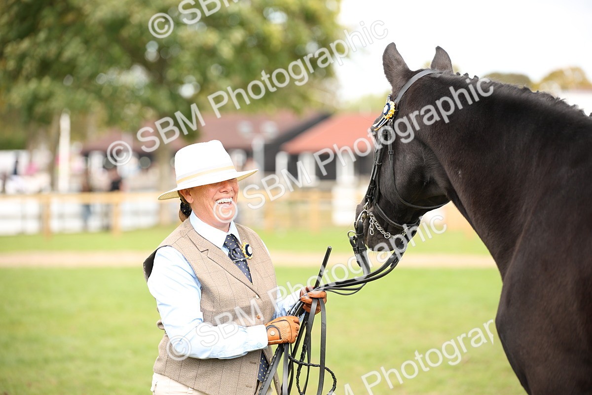 SBM_46341 - S25 - Mature Veteran In Hand