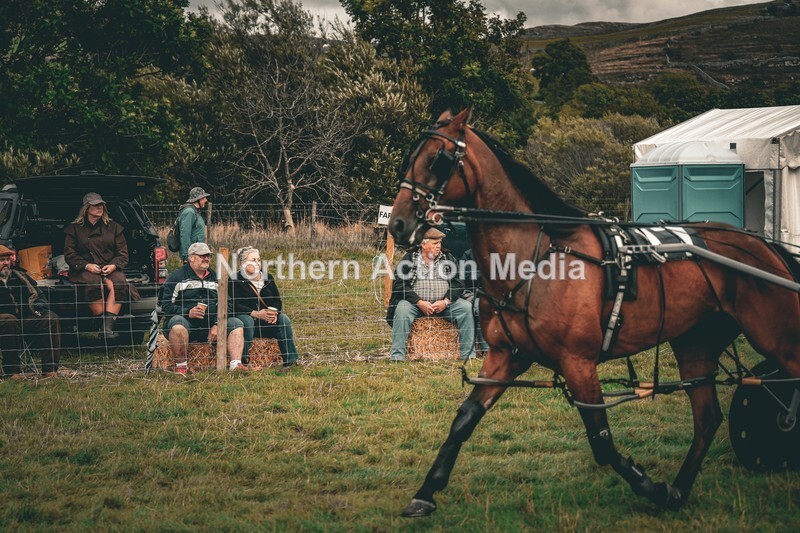DSCF7374 - Kilnsey Harness racing