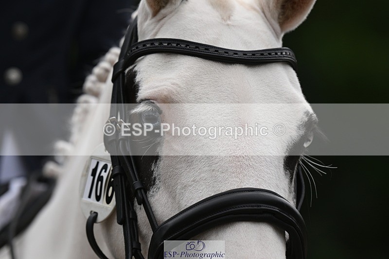 250719A-142910-06370 - 131-Angie.Jacobs-Tantoni.Bulgari