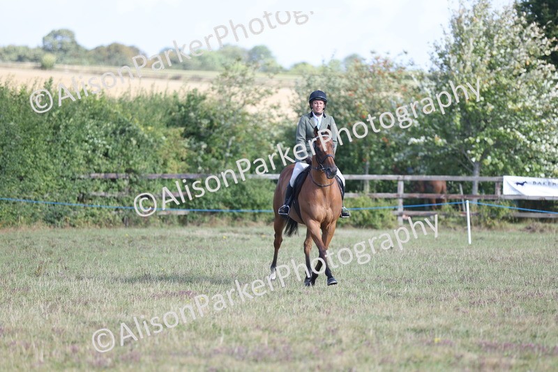 20250831-0815 - Class 14 - Ex Racehorse