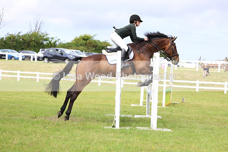 3E7A7501 - Class 13: Senior British Novice/90cm open