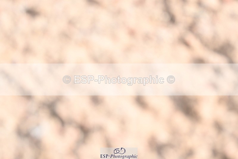 240623A-090550-16151 - Cls 45 BD Prelim 19