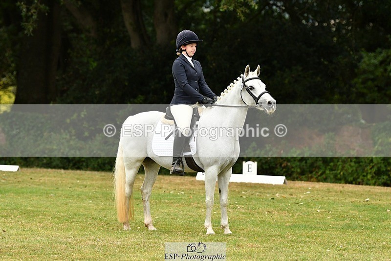 250820A-110306-04875 - 11am to 12