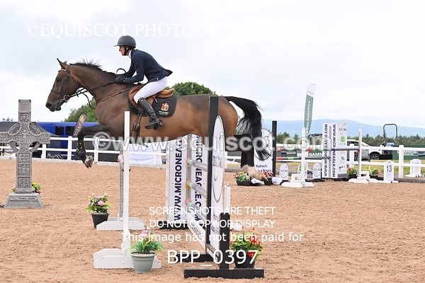 BPP_0397 - CLASS 27 SUN 6 Year Old Non Qualifier
