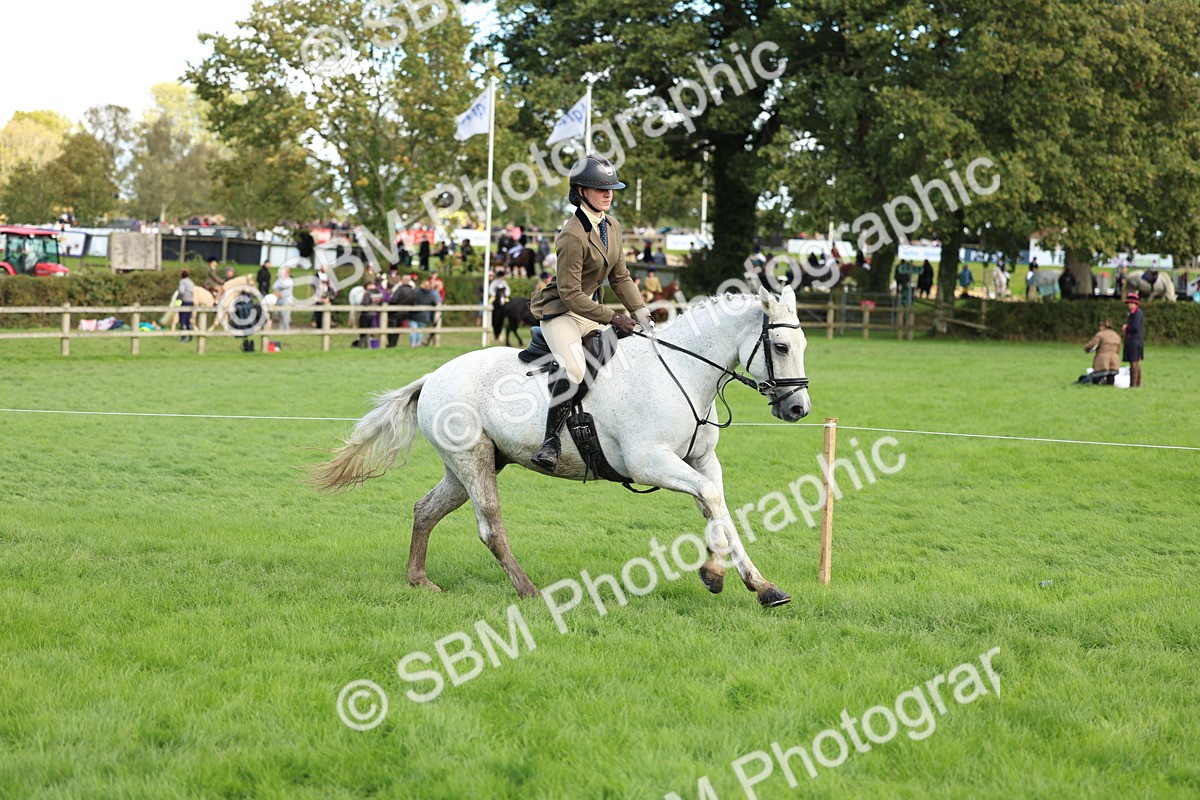 SBM_45535 - S33 - Working Hunter Pony