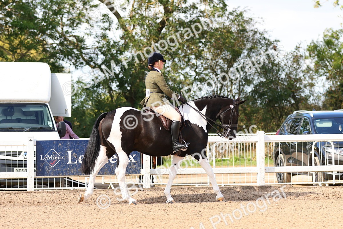 SBM_13448 - Class 212 - Ridden Hunter  - Large