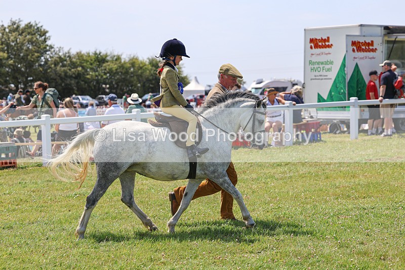 IMG_3021 - M&M Mini Ridden Championship