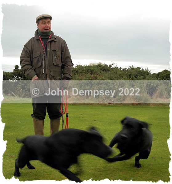 Go ! - Walking the Dog