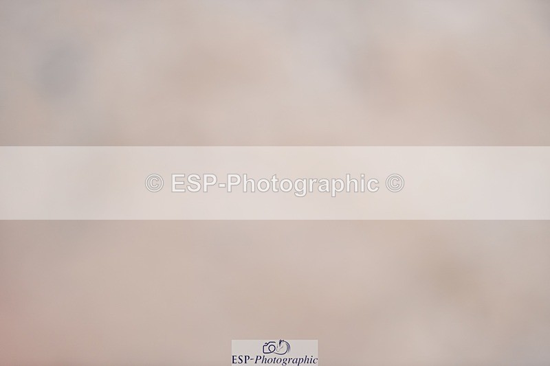 230712-093210-21603 - Cls 58 1.05m Open