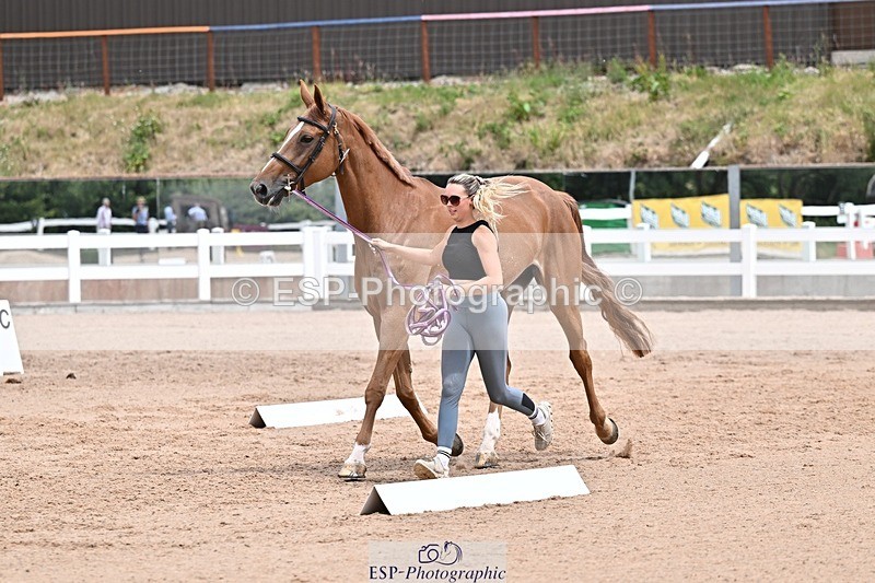 250716-133305-00563 - Trot Up 1.30 to 2.30