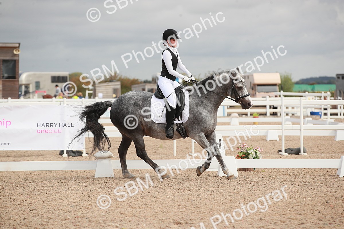 SBM_03945 - Class 31 - Prelim 1