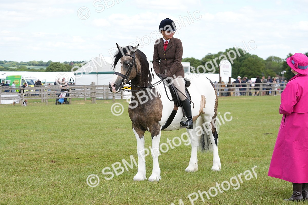 SBM_17215 - Class 107-108 - LIHS BSPS Performance Coloured Horse Pony