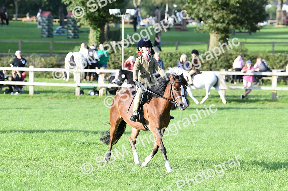 SBM_54028 - S23 - 1st Ridden Mountain & Moorland Pony