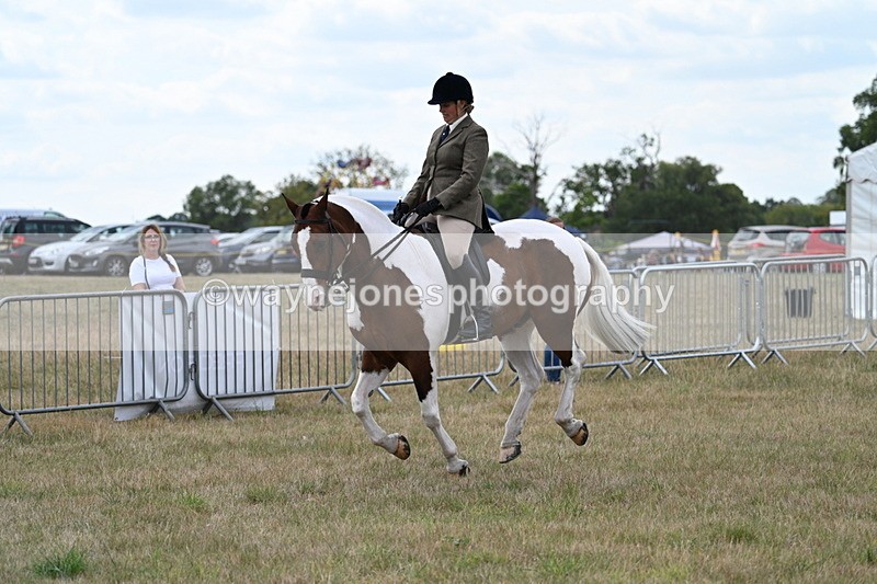 WJ7_5083 - Class 12 Ridden Cob