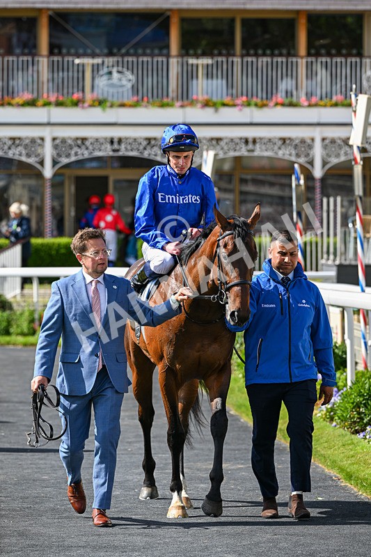 130626-Race 5-Inner City Blues-1866 - Race 5 16.15pm Tomahawk Restaurants Supporting Macmillan EBF Maiden Stakes