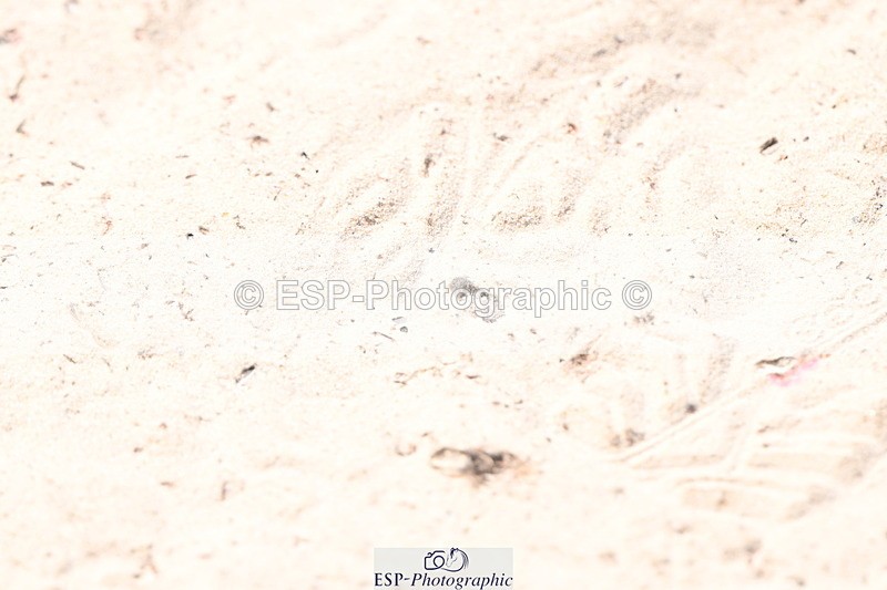 240801A-145812-02213 - Cls 12 Snr Newcomers