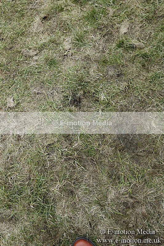 PtP 180218 1045 - Combined Services Point-to-Point Larkhill 18/02/18