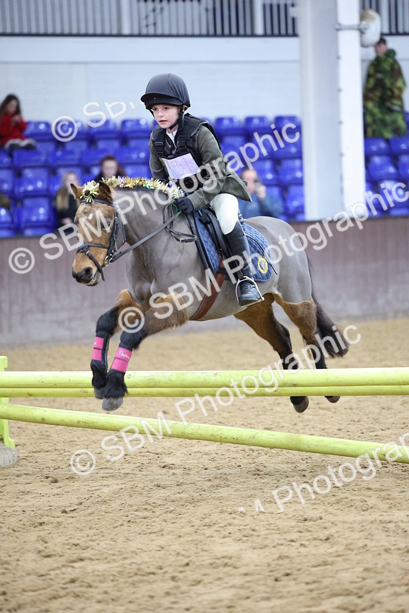 SBM_001135 - Class 3 - Christmas Tree Stakes - 60cm