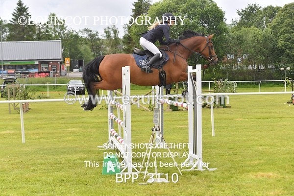 BPP_3110 - CLASS 2 SENIOR FOX/1.20M OPEN