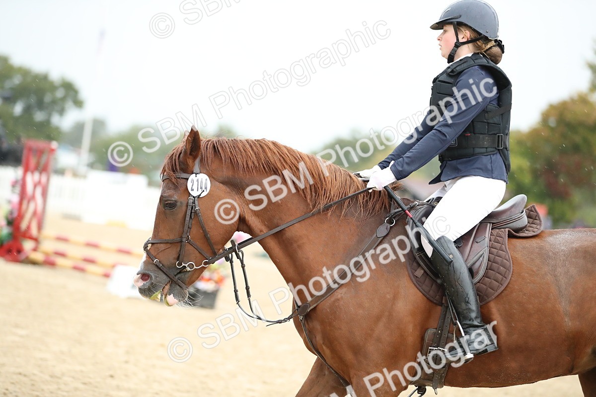 SBM_34492 - J60 Clear Round 50cm