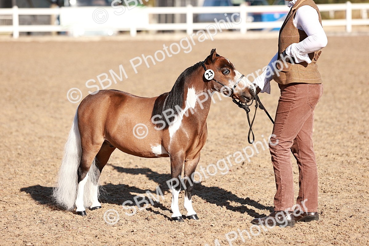 SBM_11453 - Class 402 - IH  Veteran pony
