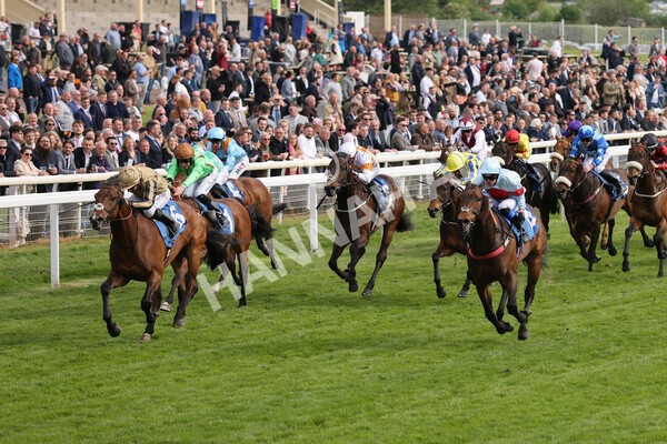 yr13052022r6-25 - Race 6 4.45pm Yorkshire Equine Practice Stakes