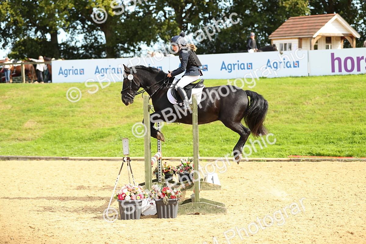 SBM_67279 - J17 - Junior Pony 80cm Championship